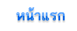 หน้าแรก